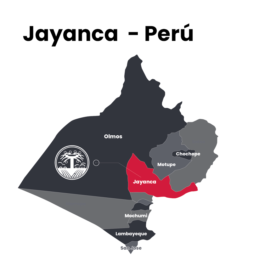 jayanca
