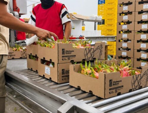 Futuro packing en marcha: Proyecto Baleno fortalece su infraestructura para la agroexportación