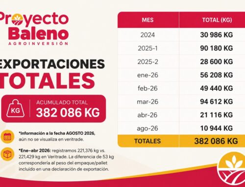 ¿Cómo verificar si una empresa realmente exporta desde el Perú?
